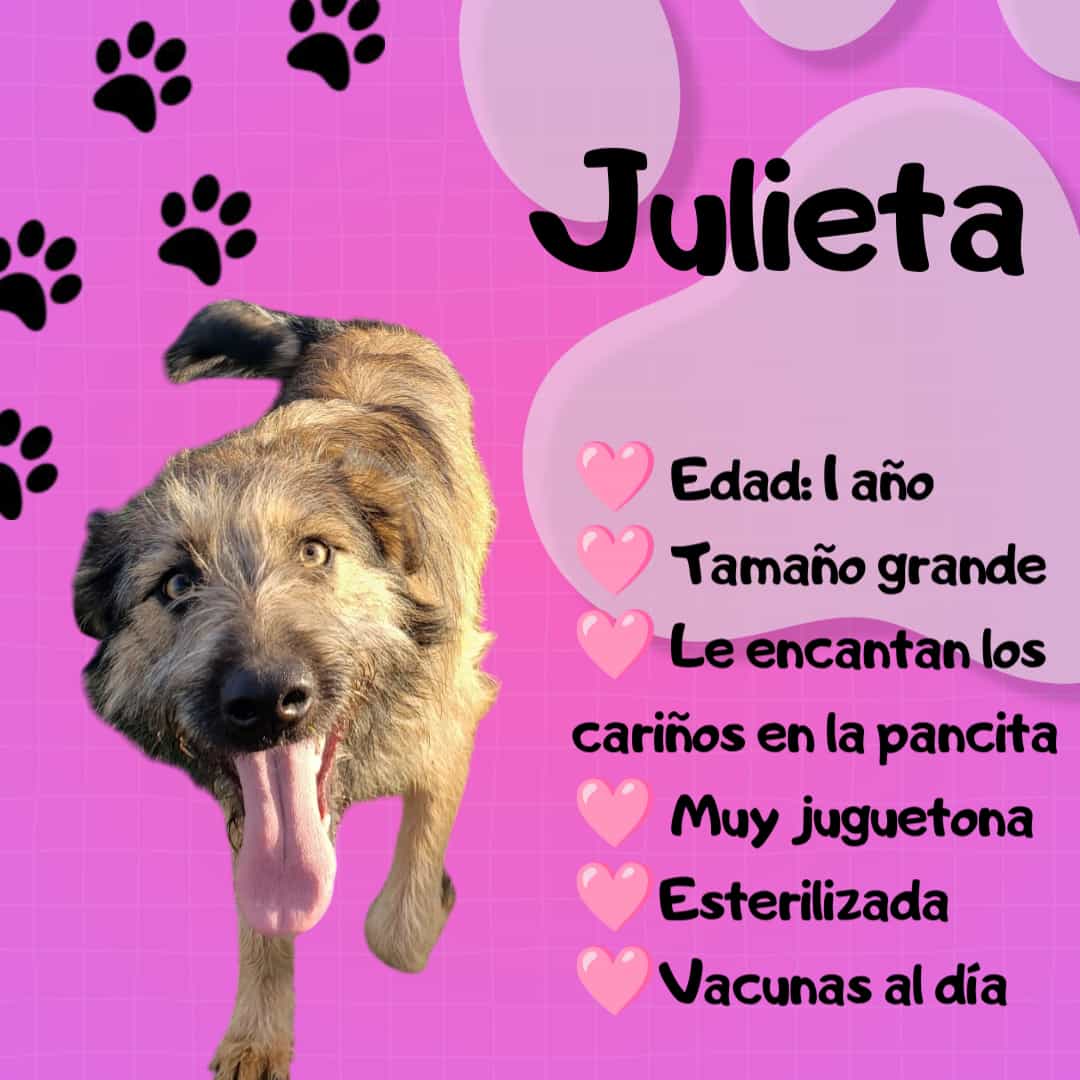 Foto de Julieta