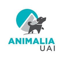 Refugio Animalia UAI en Peñalolén, Región Metropolitana